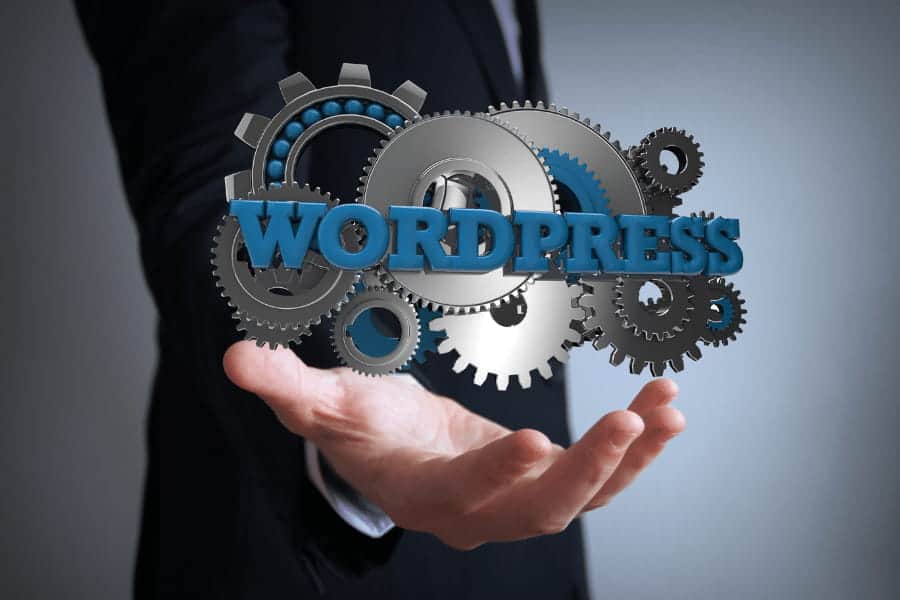 web developer using wordpress