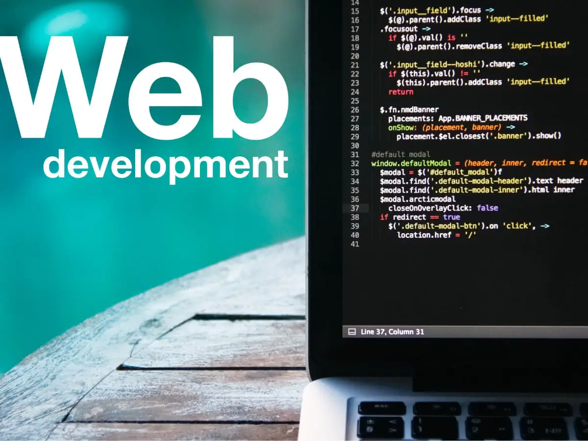 web development is paid less that other programming jobs